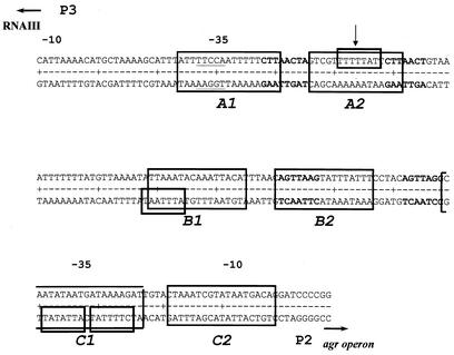 FIG. 6.