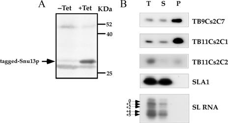 FIG. 9.