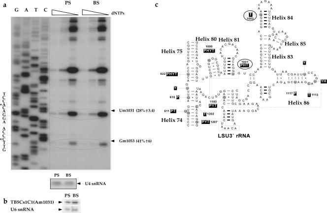 FIG. 7.