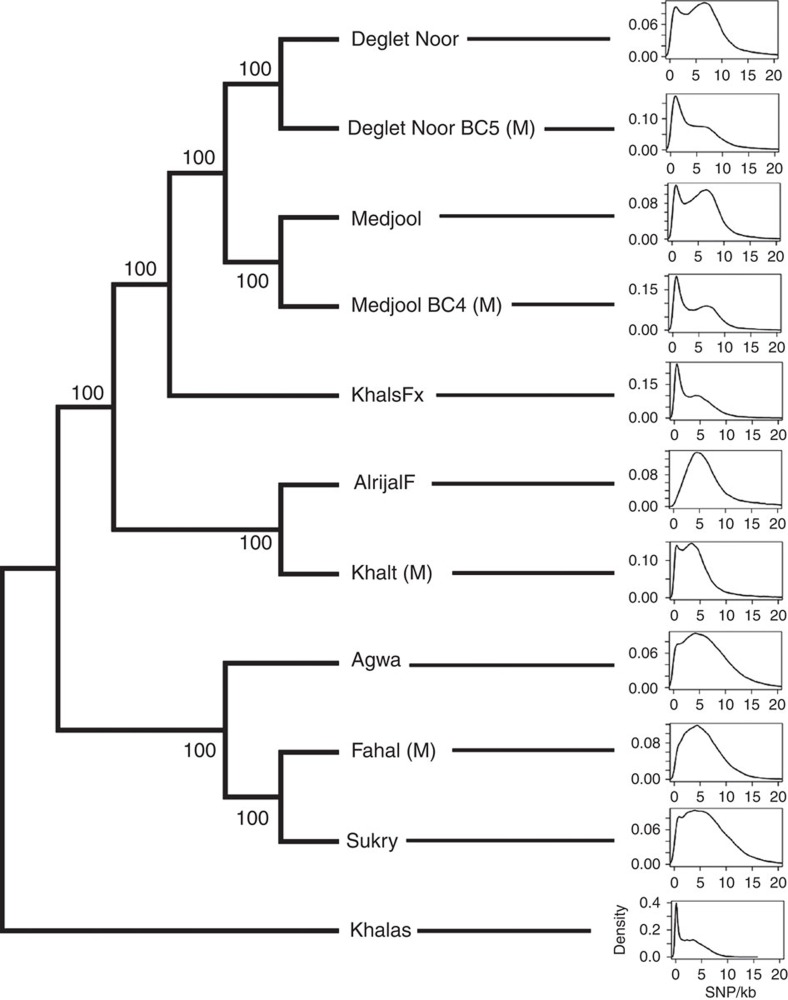 Figure 6