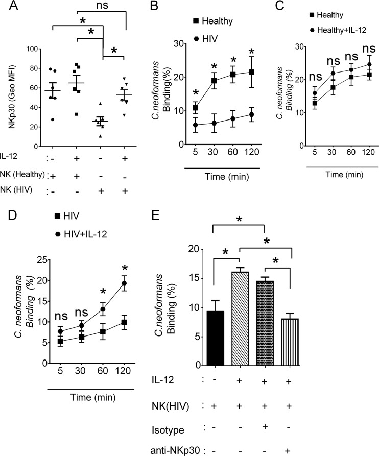 FIG 3 