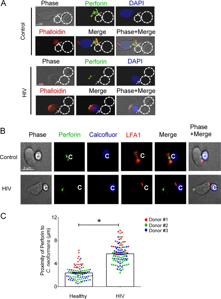 FIG 4 