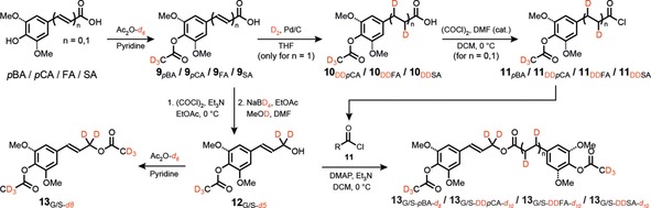 Scheme 2