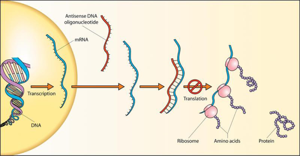 Figure 4: