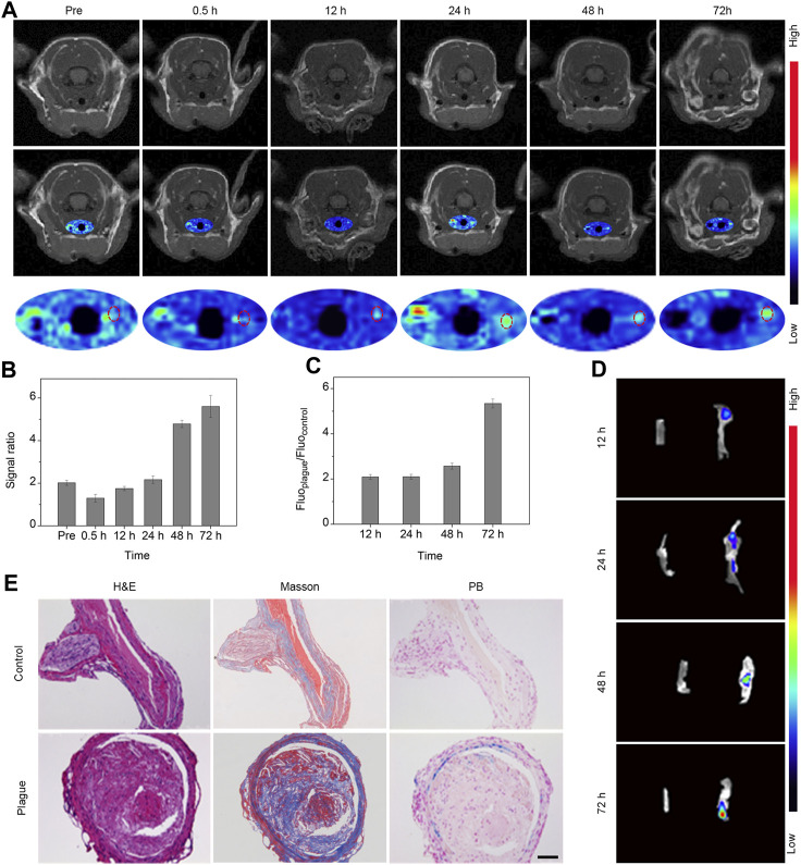 FIGURE 3