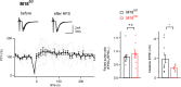 Figure 4—figure supplement 2.