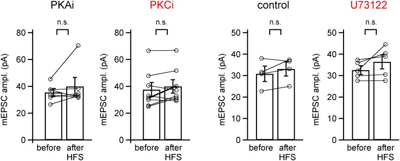 Figure 2—figure supplement 1.