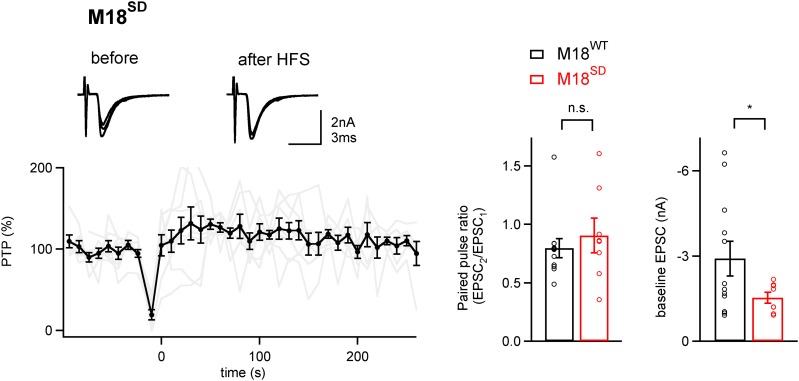 Figure 4—figure supplement 2.