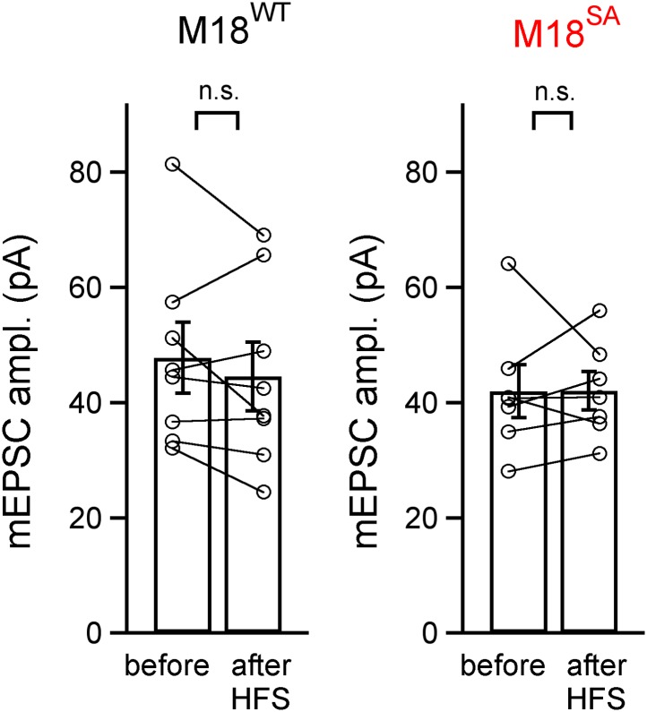 Figure 4—figure supplement 1.