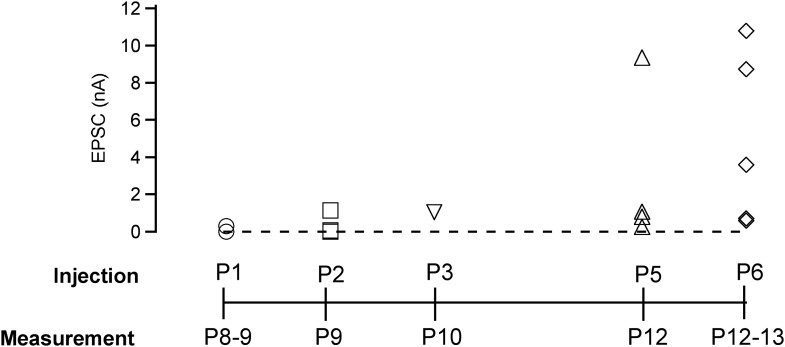 Figure 3—figure supplement 2.