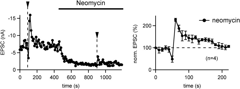 Figure 2—figure supplement 2.