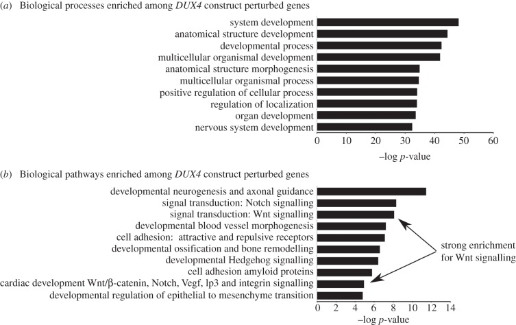 Figure 5.