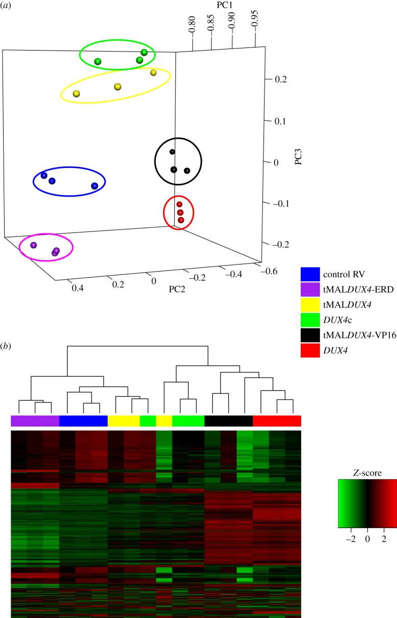 Figure 4.