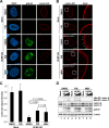 Fig 7