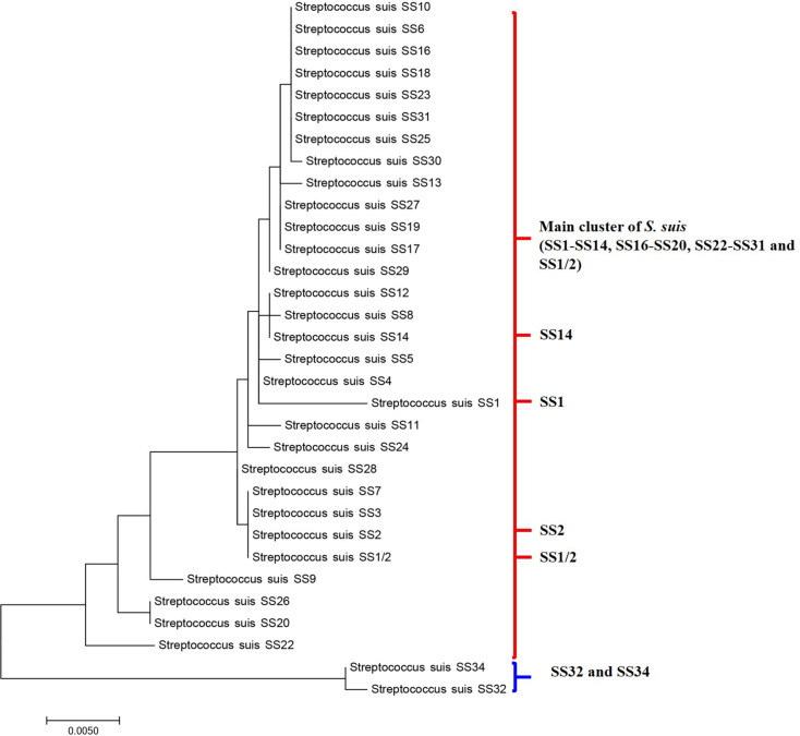 Fig 4