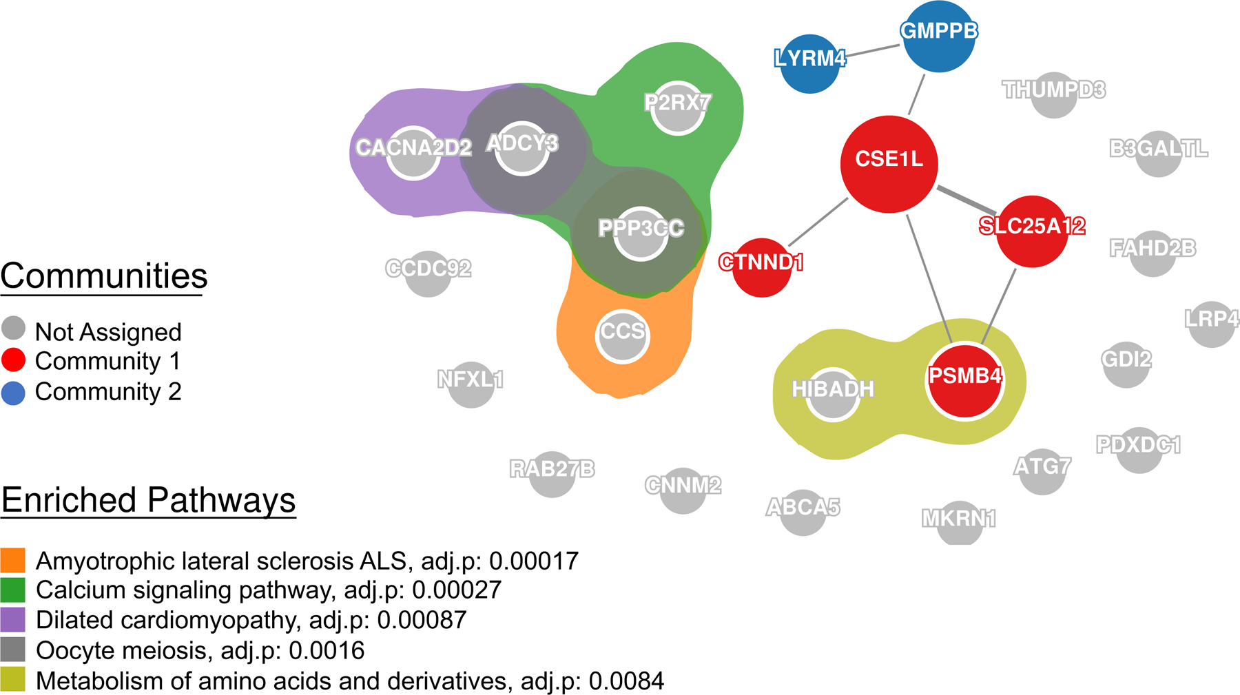 Figure 2: