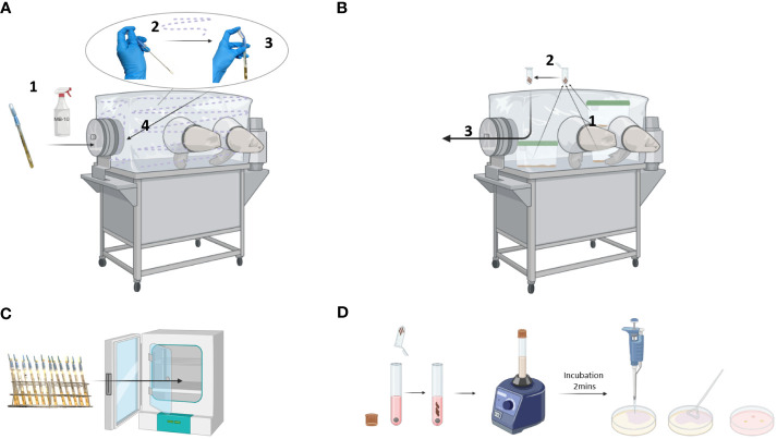 Figure 3