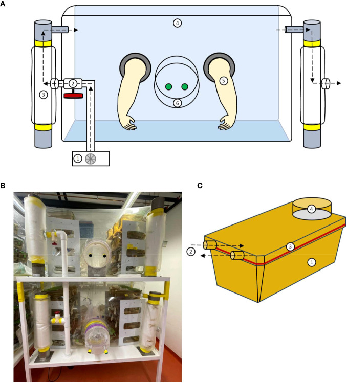 Figure 1