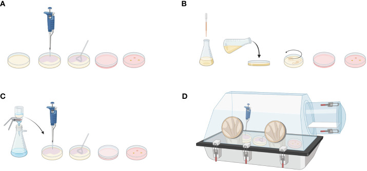 Figure 2