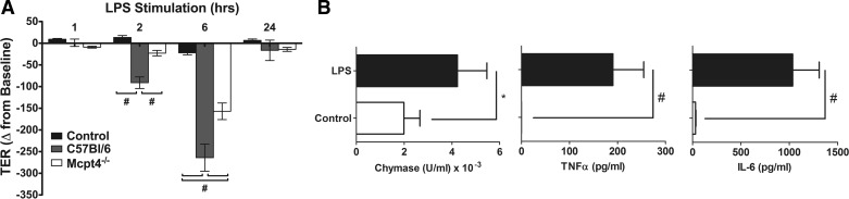 Fig. 8.