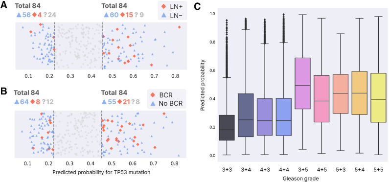 Figure 7. Association with aggressive disease. A, Patients without TP53 mutation that do (red) or do not (blue) have positive lymph node status. The number of patients whose LN status is unknown is shown next to “?” (those samples are not shown in the plot below). The left part are patients with lowest predicted probability for mutation (0.25 quantile, “extreme” true negatives or eTN), while the right side contains patients with highest predicted probability for mutation (0.75 quantile, “extreme” false positives or eFP). See Materials and Methods for motivation and definition of eTN, eFP. B, Same as A, now for biochemical recurrence. C, Tile-level predicted probability for mutation per Gleason grade, with lowest grade on the left.