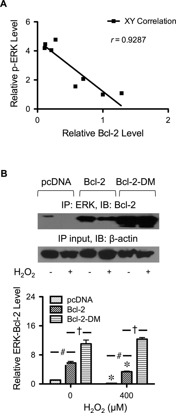 FIGURE 7: