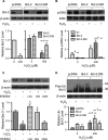 FIGURE 6: