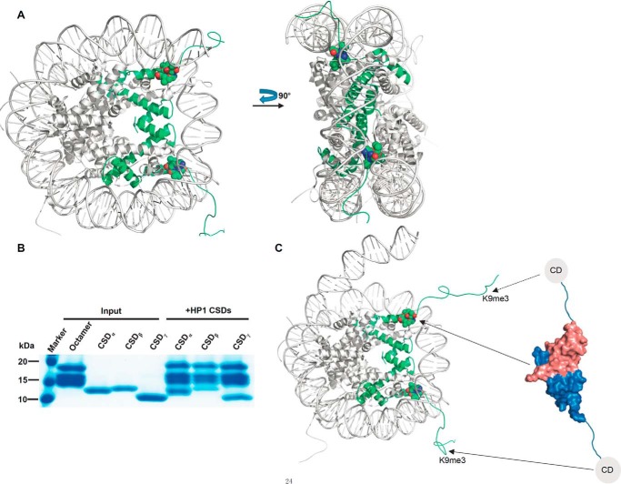 Figure 5.