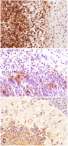 Figure 3.
