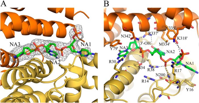 FIGURE 3.