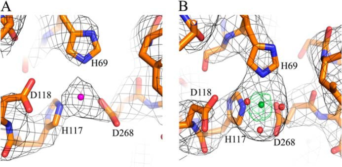 FIGURE 5.