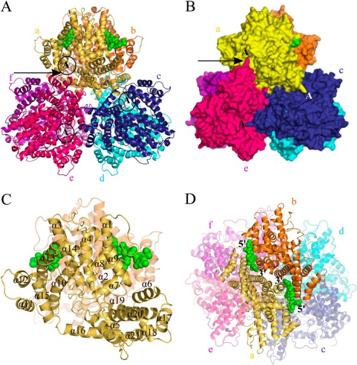 FIGURE 2.