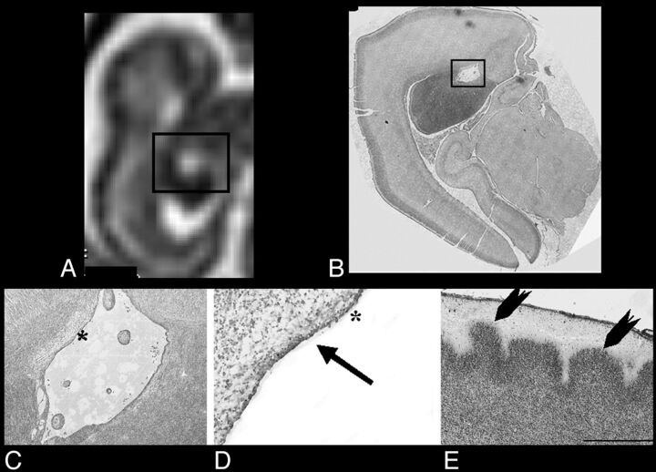 Fig 5.