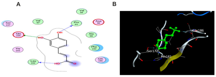 Figure 22