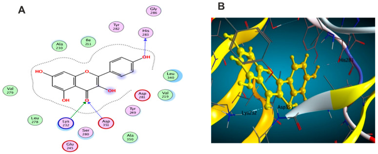 Figure 12