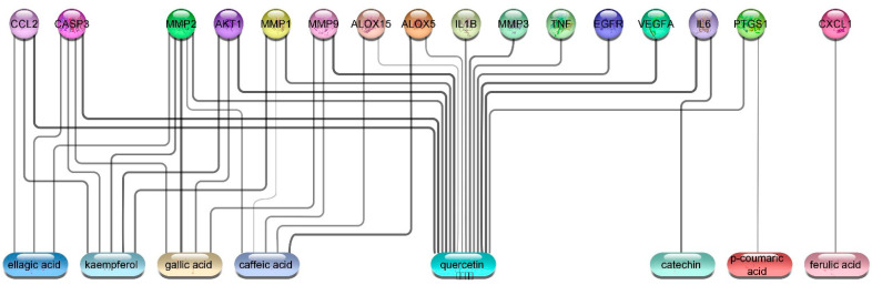 Figure 20