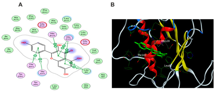 Figure 21