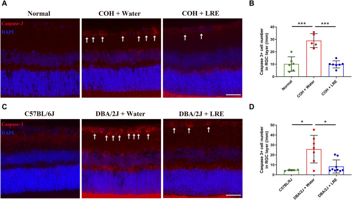 FIGURE 3