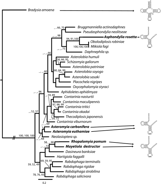 FIG. 4.—