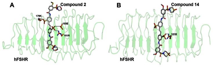 Figure 12