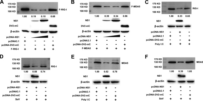 FIG 4