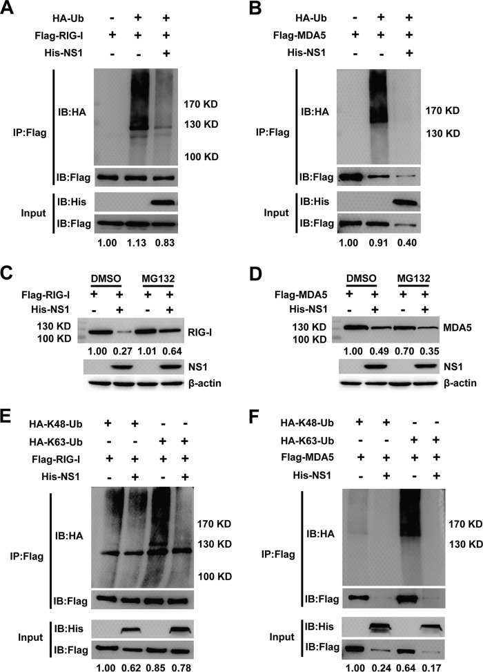 FIG 8