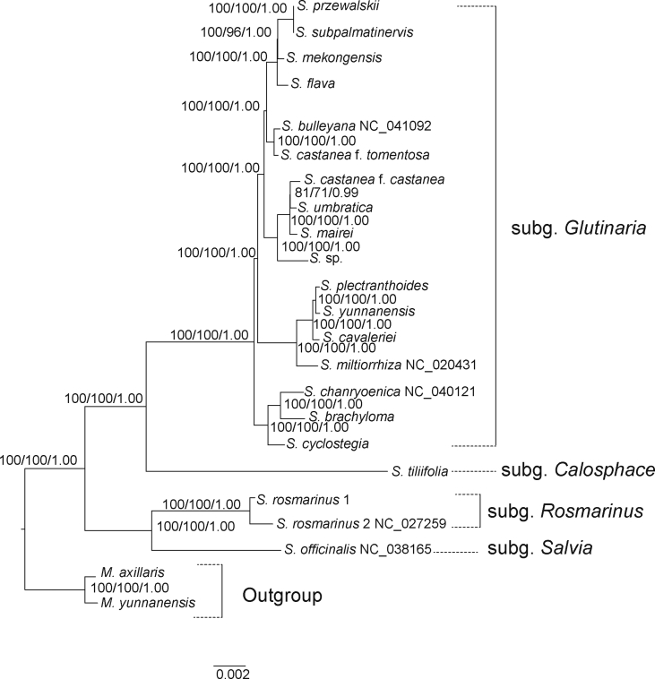 Fig. 5