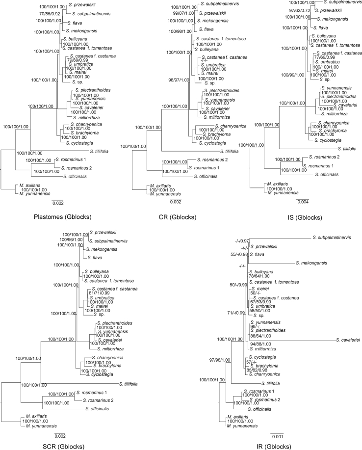 Fig. 7