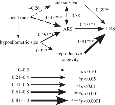 Figure 4.