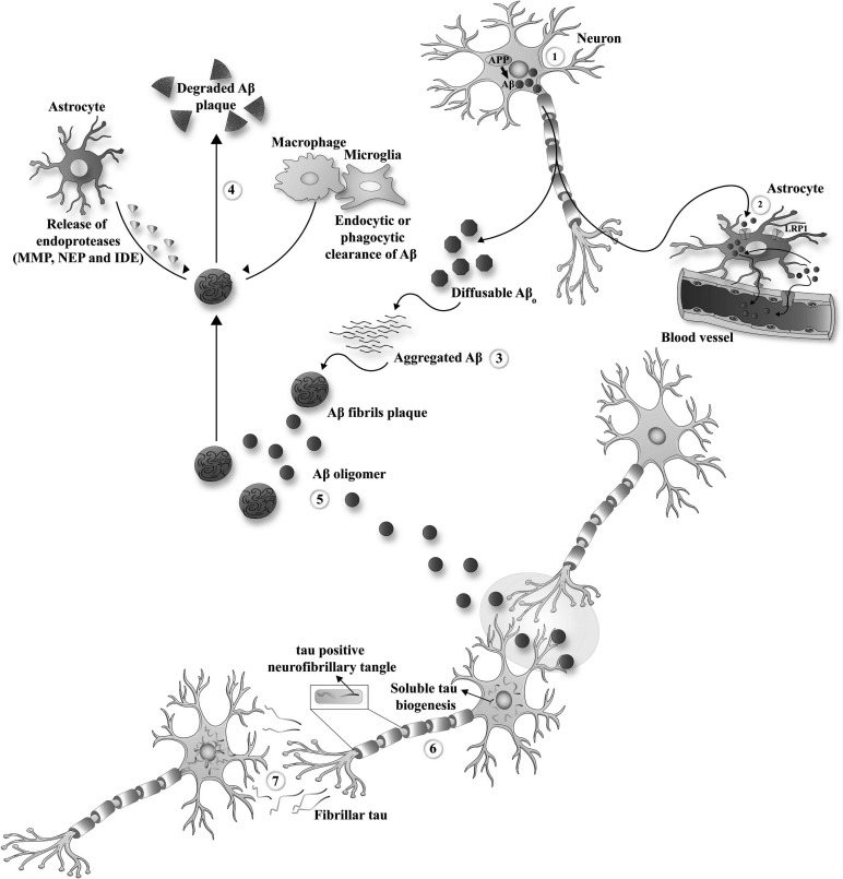 Fig. (2)