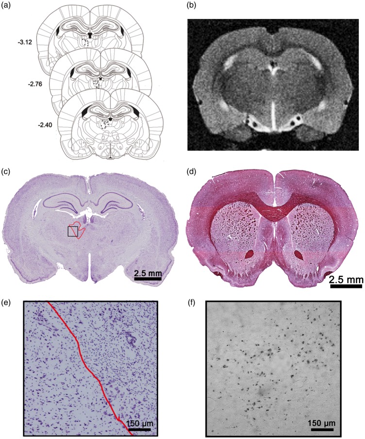 Figure 2.