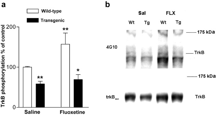 Fig. 9.