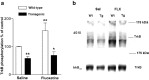 Fig. 9.