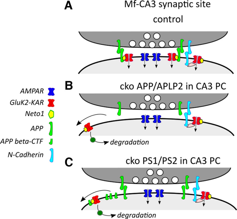 Figure 6.